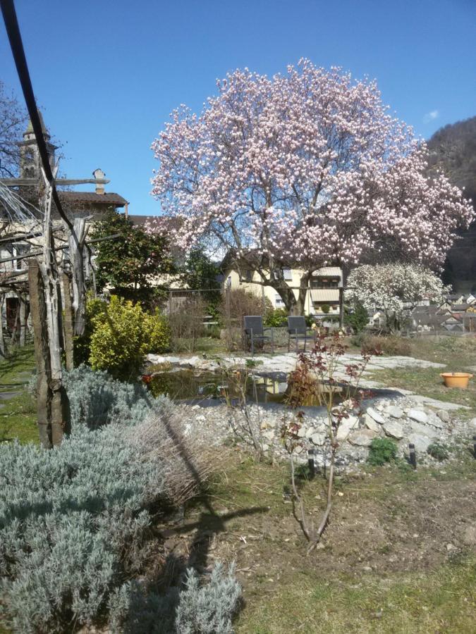 Giornico グロット パーゴラ Bed & Breakfast エクステリア 写真